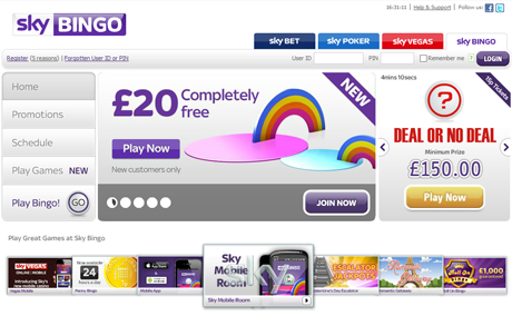 Sky Bingo Screenshot
